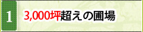 3,000坪超えの圃場
