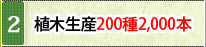 植木生産200種2,000本